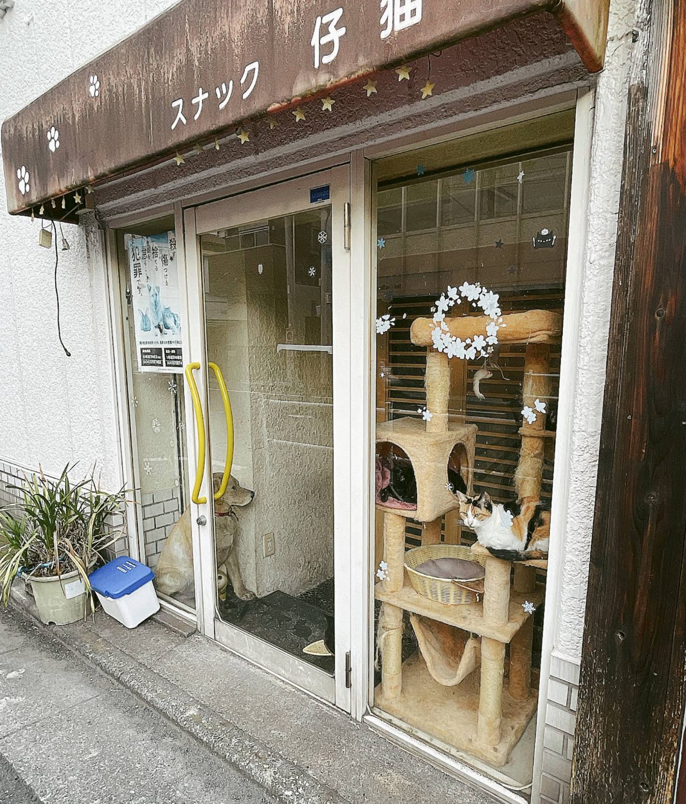 スナック仔猫 店内写真